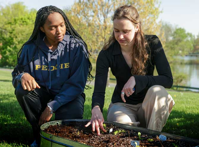 Sustainability at Peddie: Practice + Purpose