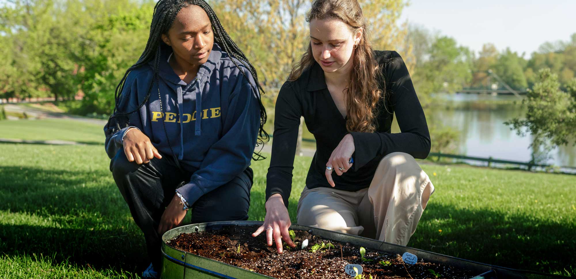 Sustainability at Peddie: Practice + Purpose